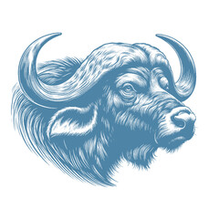 buffalo vector illustration