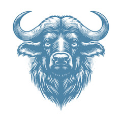 buffalo vector illustration