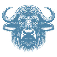 buffalo vector illustration
