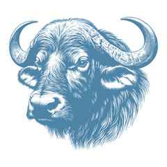 buffalo vector illustration