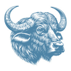 buffalo vector illustration