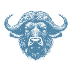 buffalo vector illustration