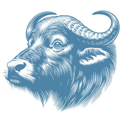 buffalo vector illustration