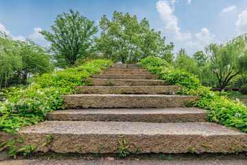Stone stairs and woods background