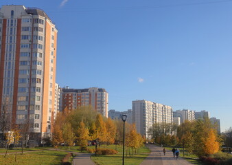 Obraz premium yellow autumn trees against the background of residential buildings in the Yuzhnoye Butovo landscape park, November 2024