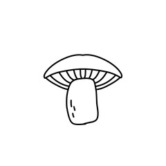 Mushroom hand drawn vector illustration