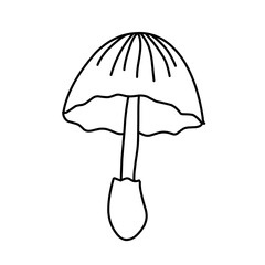 Mushroom hand drawn vector illustration