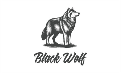 black wolf, wildlife hand drawn vector illustration realistic sketch