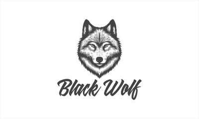 black wolf, wildlife hand drawn vector illustration realistic sketch