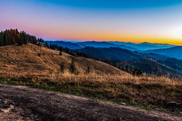 Landscapes - Forest - Europe, Romania, Suceava region