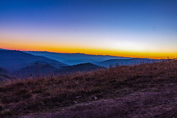 Landscapes - Forest - Europe, Romania, Suceava region
