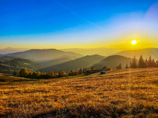 Obraz premium Landscapes - Forest - Europe, Romania, Suceava region