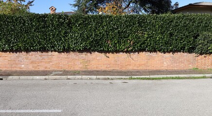 House fence consisting of brick wall and hedge on top. Sky,trees,  roofs and chimneys on behind,...