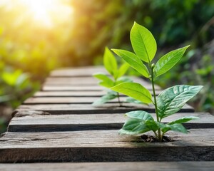 Embark on a Transformative Journey of Growth The Path to New Beginnings Filled with Clear Vision and Abundant Opportunities