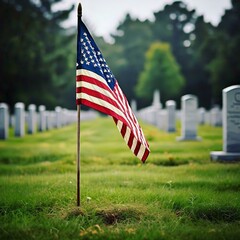 Memorial Day Remembrance | Veterans Day Tribute | Honoring Our Fallen Heroes