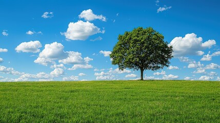 Solitary Tree Standing in a Vast Green Field Under a Bright Blue Sky with Fluffy White Clouds, Capturing the Peaceful Simplicity and Natural Beauty of the Countryside on a Sunny Day