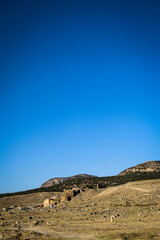 an ancient ruin at Hierapolis Turkey