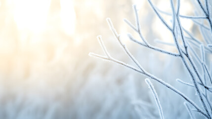 Explore the enchanting beauty of a frozen forest scene with ice-encased trees and delicate frosted branches