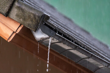 Clogged rain gutter, dirty roof gutter, with wet fallen leaves.