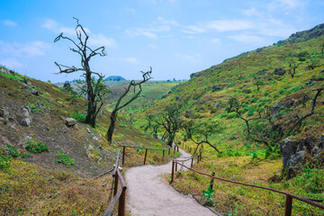 Lomas de Lachay, a National Reserve near Lima, ideal for exploring trails, observing wildlife and enjoying nature and outdoor walks.