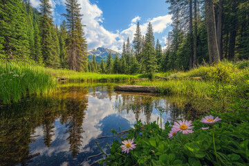 Serene Forest Landscape with Reflective Pond and Wildflowers