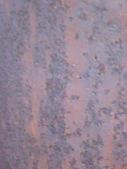 Organic texture wall beautiful organic overlay background