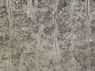 A photography grey cracked concrete wall texture background