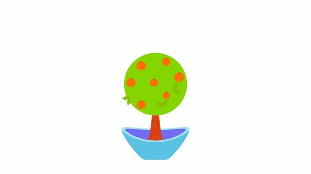 fuzzy kiwifruit in pot animation,yang tao with fireworks animated video, Chines mihoutao, Culture Clip, Lunisolar Spring Festival Footage, China Travel Guide motion graphics