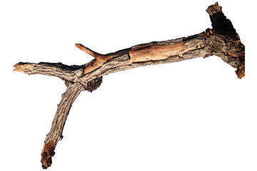 Lonely branches.