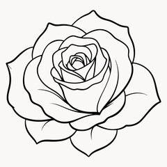 Vector illustration of a beautiful rose with lush green leaves for a tattoo design. It features realistic, high-quality classic rose line art and icons.