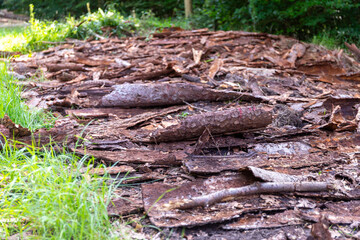 a lot of tree bark as the remains of an old wood store in the forest
