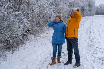 Winter wonderland scene with joyful couple enjoying leisurely stroll through picturesque park, surrounded serene snow-covered landscapes, fir trees in snowWinter Romance, Nature Walks