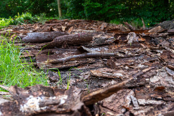 a lot of tree bark as the remains of an old wood store in the forest