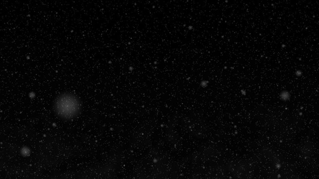 Skyfall Meteor Shower