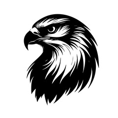 A detailed vector illustration of a fierce eagle's head showcasing intricate feather patterns and a piercing gaze, representing strength and freedom in wildlife art