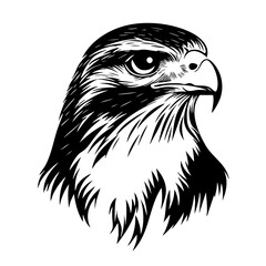 A detailed vector illustration of a majestic falcon displaying its sharp features, showcasing intricate feather textures and a focused gaze, symbolizing strength and agility