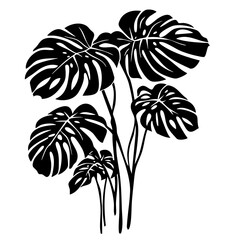 Stylized vector illustration featuring multiple monstera leaves showcasing intricate cut-out designs perfect for digital projects or home décor