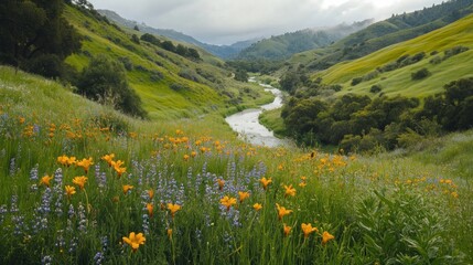 A lush green valley with a winding river, vibrant wildflowers blooming