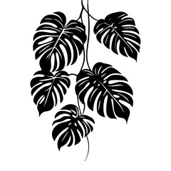 Stylized black monstera leaves gracefully hanging, showcasing detailed leaf patterns and shapes for botanical design and decor inspiration