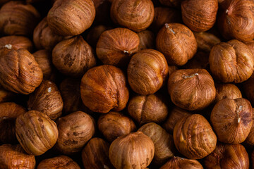 Raw, unshelled hazelnuts close-up. Hazelnut