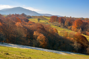 mountainous countryside landscape of ukraine in autumn. sunny morning. grassy meadows and forested hills. volovets district