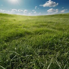 Obraz premium Sunny green field with clouds