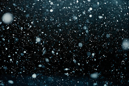 Real Snow Falling