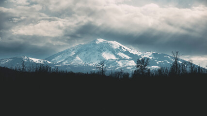 Snow-Covered Mt. Shasta in the Distance