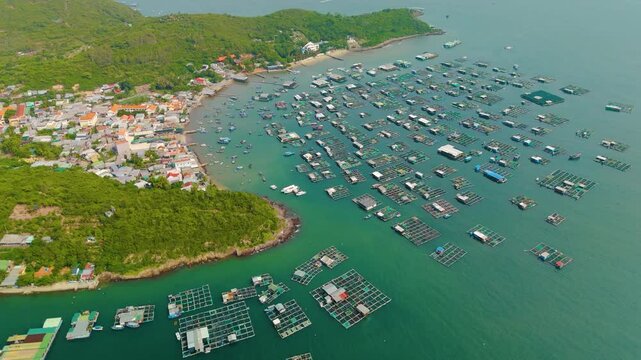 Aerial top view of marine farms structures of aquaculture cages for growing marine animals for food. View of fishing village on tropical island Khanh Hoa province.