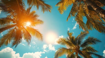 An image of palm leaves on a bright blue sky with sun at ground level, a tropical beach and summer vacation background in a summer holiday concept,