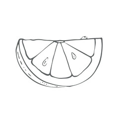 Slice of Orange, vector Illustration On a white background. Ingredient for juice, mulled wine, recipes, charlotte, jam, preserves, compotes. Harvest in the garden. Printing typography, textiles