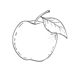 Apple, Vector Illustration On a white background. Ingredient for juice, mulled wine, recipes, charlotte, jam, preserves, compotes. Harvest in the garden. Printing typography, textiles