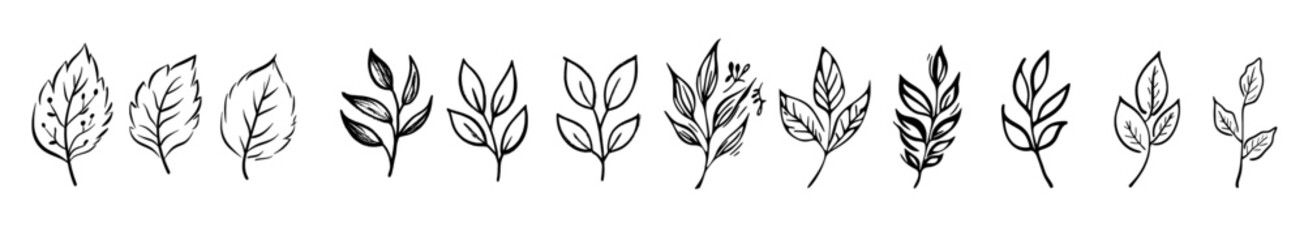 An illustration of bird feathers, isolated dove feathers, a doodle silhouette of soft plumes, feather ink pen