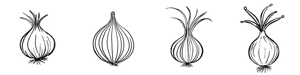 A simple illustration showing an onion icon on a white background..EPS